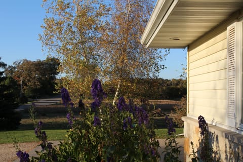 Lovely views and gardens