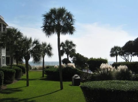 Welcome! The view from the Screened In Porch! The courtyard and the beach!
