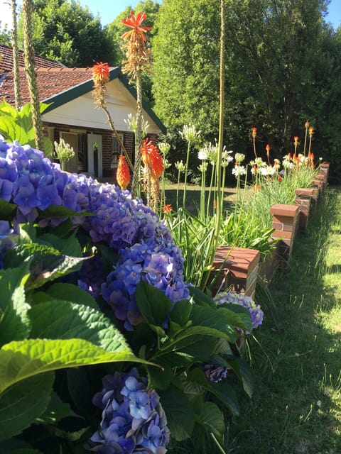 Coppin Cottage-summer🦜
