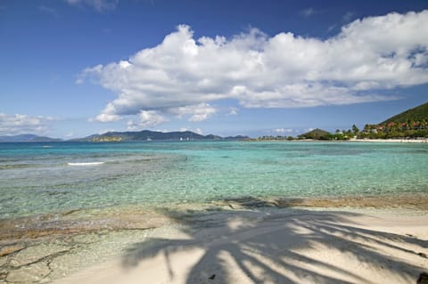 Just steps away from the condo