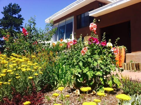 Flowers in the spring