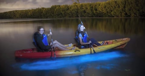Bio Bay Night Kayaking