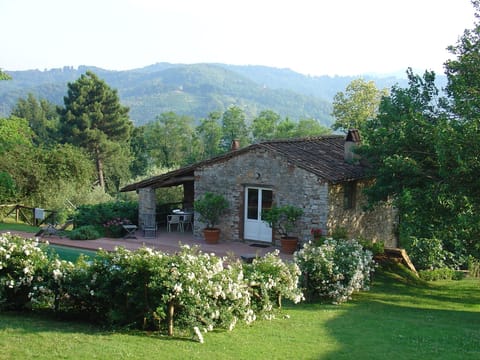 Roses round the pool