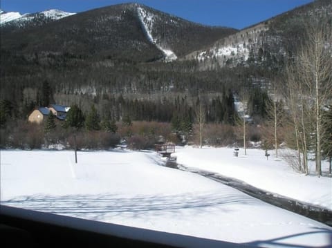 A Beautiful View Off the Back Deck