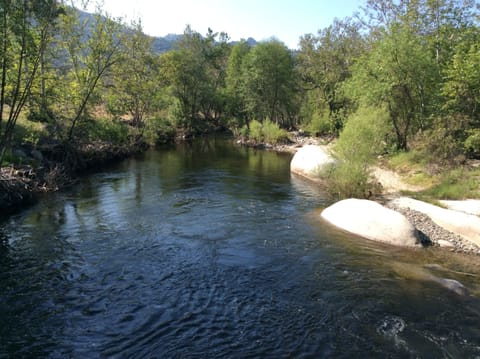 Heron Hide-Away's fabulous swimming hole