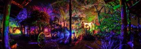 The wash at night. A guest/ electrician said “it is a lighting master class.” 