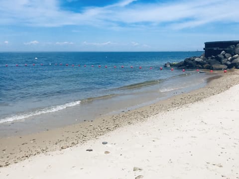 Stroll to Culloden beach