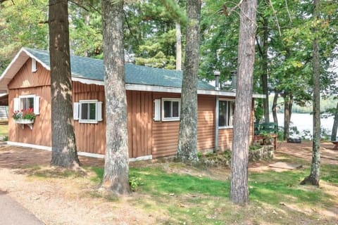 Spacious yard to roam around in