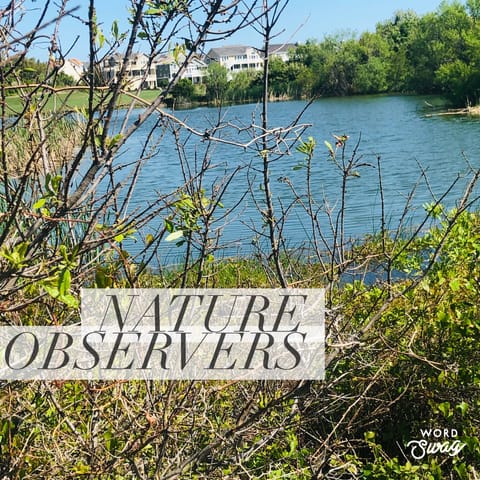 Lots of creatures to catch!