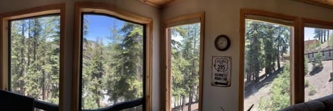 Windows to bring the outdoors inside