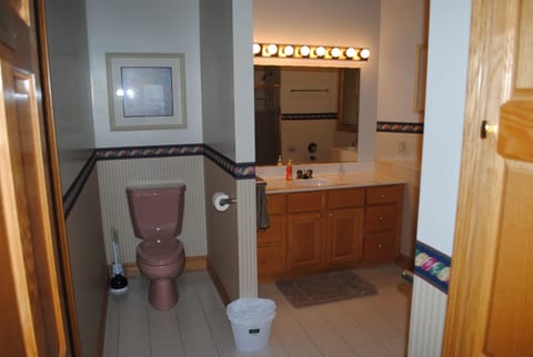 Large bathroom with 10' ceiling and skylight, jacuzzi tub and seperate shower