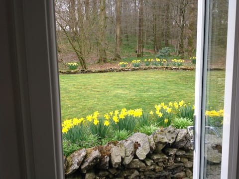 View from Butterfly to 2 acre woodland