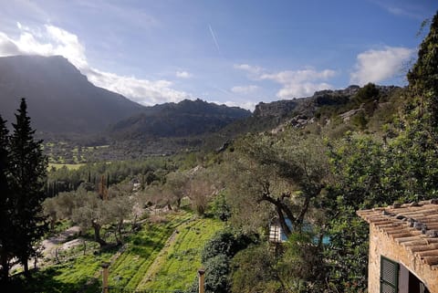 Property view