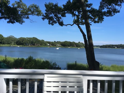 Back Deck