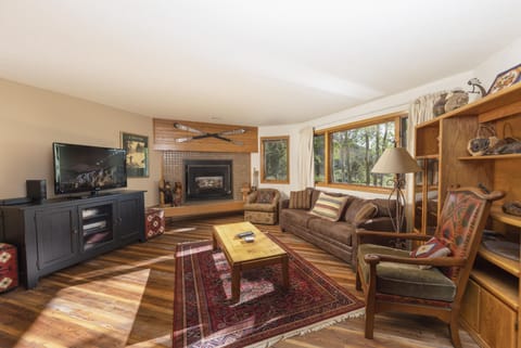 Living room with smart TV and gas fireplace and queen sleeper sofa.