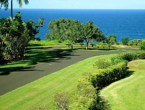 Looking out from front lanai