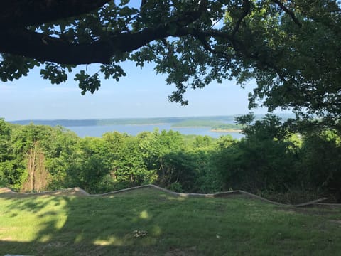 We saw an eagle today