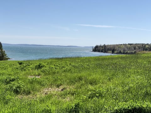 Duck Cove Mount Desert Island 
Not a direct view from the house