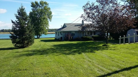 View of the house from the back yard!