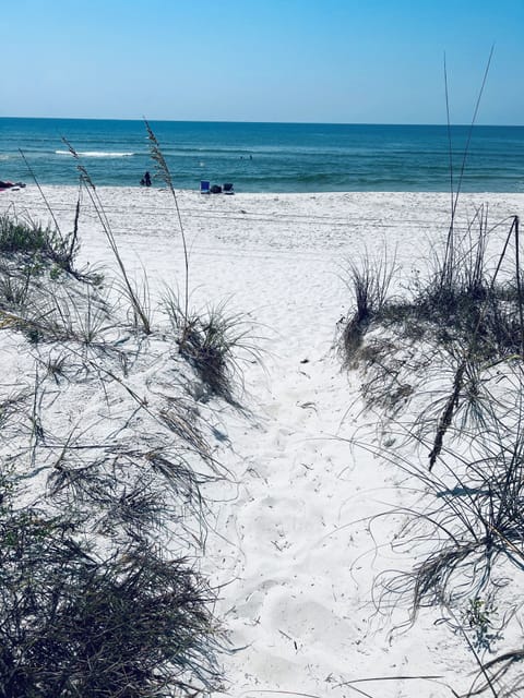 Step out to the beach in our back yard. 