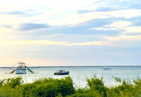 One of the many interesting scenic views from the porch Bay View Villa 109C