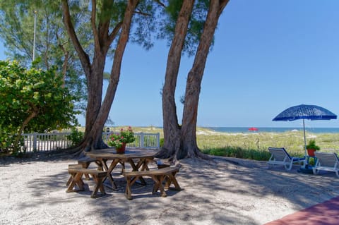 Beautiful Sandy Shores