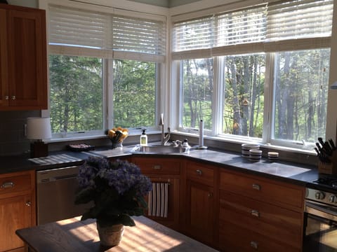 If you have to do dishes, this is a great view!