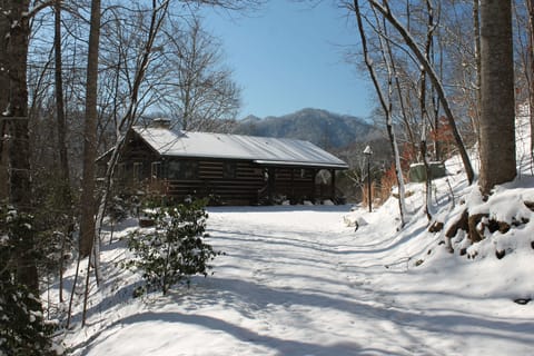 Dogwood Point on a Beautiful Snowy Morning!