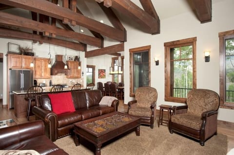Main level living area with gas fireplace.