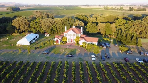 The Inn is completely surrounded by vineyards
