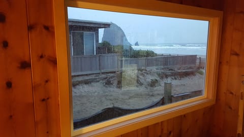 View out new window from living room