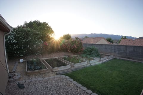 Garden beds and sunset views from the backyard. 