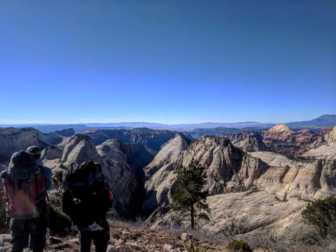 West Rim trail in Zion National Park, the back country. 