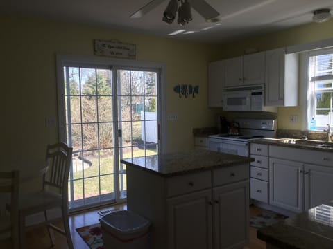 Kitchen view of backyard