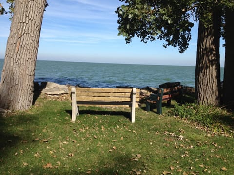 In front of the cottage