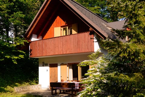 Front of house, just 200 m along the river to Lake Bohinj
