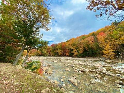 River Views from the back porch!
