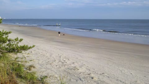 The Ocean View Beach
