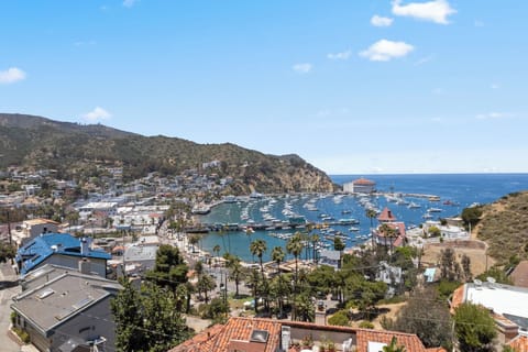 123UT Lower in Catalina Island - Avalon Views
