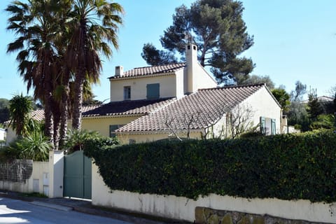 Facade - gates with remote control