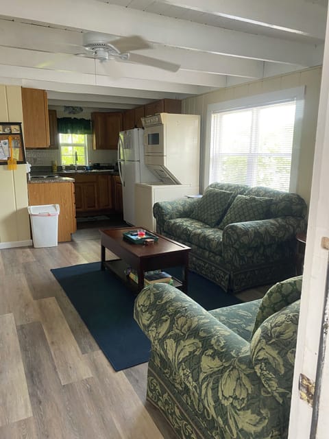 Living room and kitchen