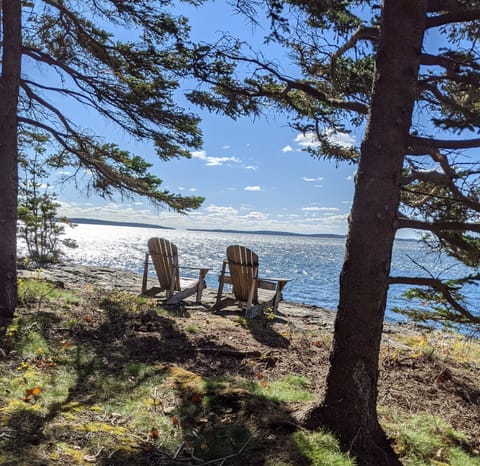 Walk down to our shore and relax for a while.