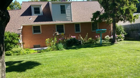 Large Backyard with tall shade trees