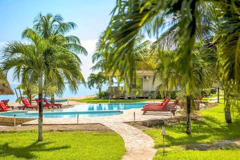 pool and palms 