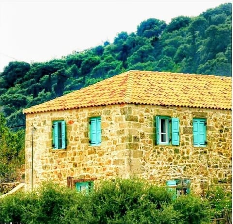 Enjoy our outdoors..
Shower 🚿,  Nature,  Life..