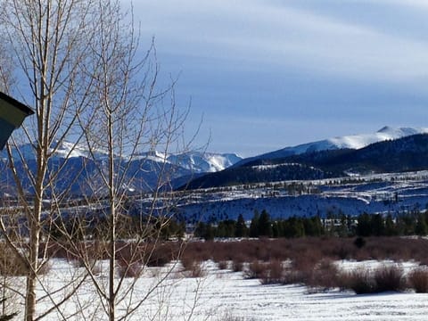 Winter bluebird view from the deck enjoying the wilderness area!