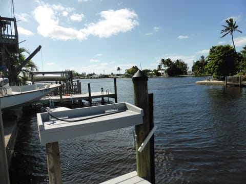 view from the jetty