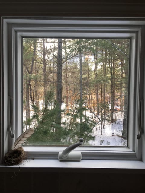 Beautiful views from just about every window.