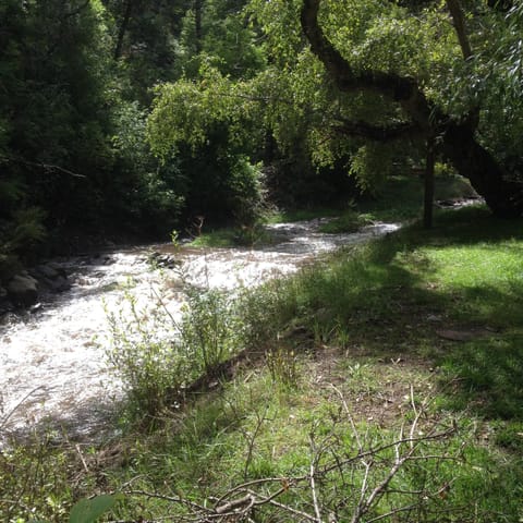 Looking upstream on Riverbank...get your fishing pole!