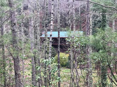 View of home from Santeetlah Rd.
